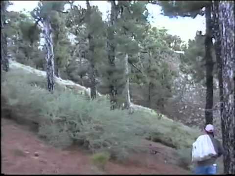 SONY DVD RECORDER VOLUME Title 01 0100h00m00s 00h10m14s