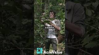 Foraging with AcreValue 2024
