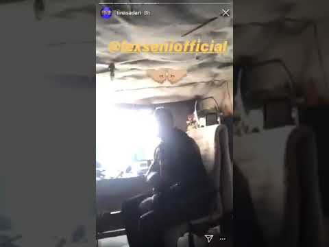 ლექს-სენი და თიკო