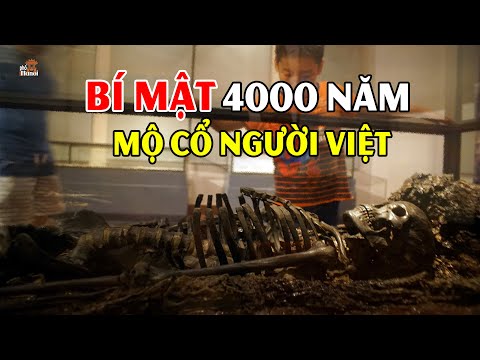 , title : 'Bí mật hầm mộ cổ người Việt ở Phú Thọ hơn 4000 năm #hnp'