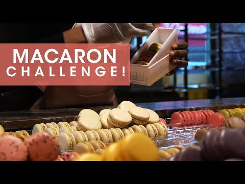 download lagu mp3 mp4 Laduree Shipping, download lagu Laduree Shipping gratis, unduh video klip Laduree Shipping