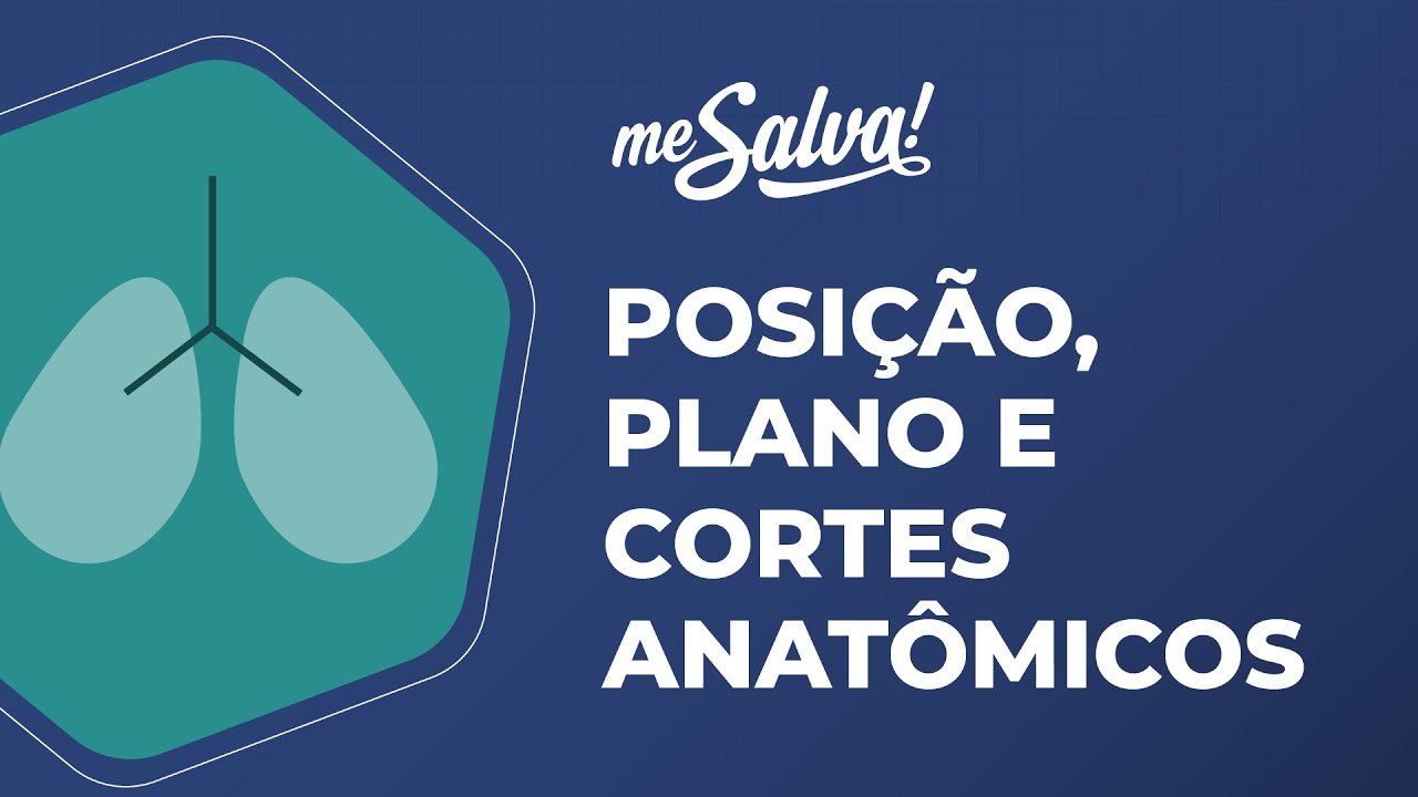 Posição anatômica, plano e cortes anatômicos - Anatomia Humana Básica - Me Salva! Saúde