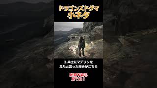 ドグマ小ネタ、美女マデリンの選択肢による反応【Dragon's Dogma: Dark Arisen(ドラゴンズドグマ ダークアリズン)】【ゆっくり実況】#ゲーム実況 #shorts  #games