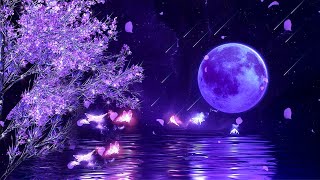 Download lagu Sleeping Music For Deep Sleeping • Clear Subconscious Negativity, Melatonin Release mp3