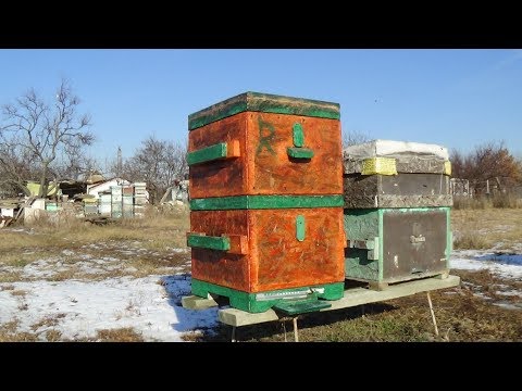 Мой улей с OSB спустя четыре сезона, пасека