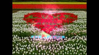 Ali per guardare occhi per volare - Pooh