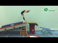 Tsukahara Drills and Exercises | Gymnastics | Vault