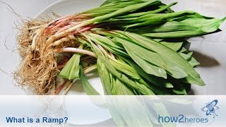 What Is a Ramp? Spring Vegetable Education.