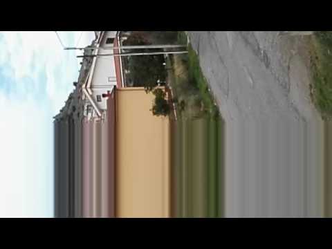 francavillamarittimaalbero