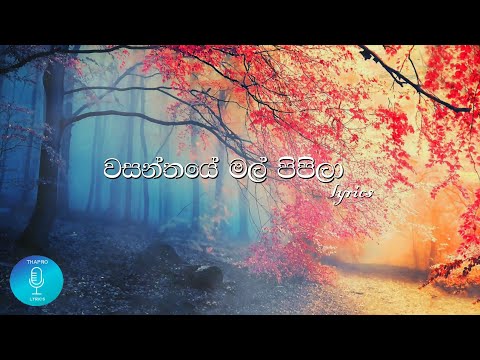 Wasanthaye Mal Pipila - වසන්තයේ මල් පිපිලා(lyrics) Official video |#Chithralsomapla #lyrics