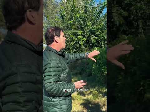 Mantenimiento y limpieza en los canales de desagüe y zonas aledañas