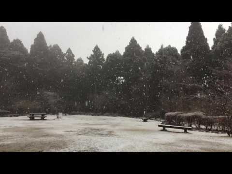 雪の森のふれあい館