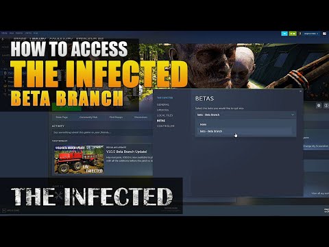 How To Access The Infected Beta Branch Server