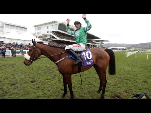 What a performance - Presenting Percy bolts up in RSA Chase | Cheltenham Festival