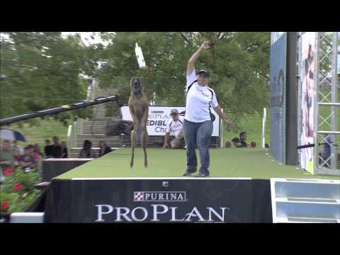 2013 IDC National Championships - St. Louis Overview