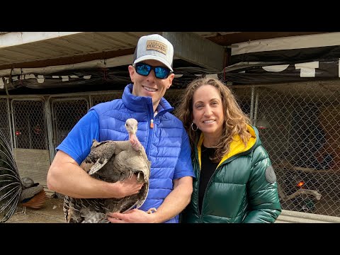 Save The Duck Review