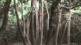 preview picture of video '【残照】7【山形県「飛島」２】'