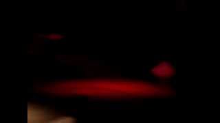 REDD KROSS - STAY AWAY FROM DOWNTOWN LIVE IN TORONTO 2013