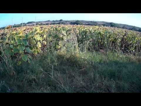 ЛОВ НА ГРИВЯК 9