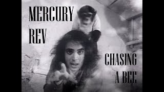 Mercury Rev 'Chasing a Bee' (30th anniversary upgrade)