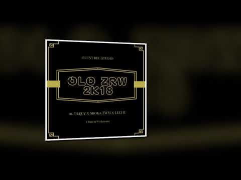 Olo ZRW x Sroka ZWM x Lechu - Błędy