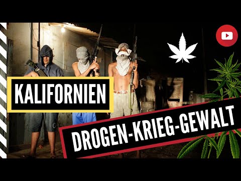 Kokainkrieg Kalifornien - Drogen im Visier Doku 2020  Neu