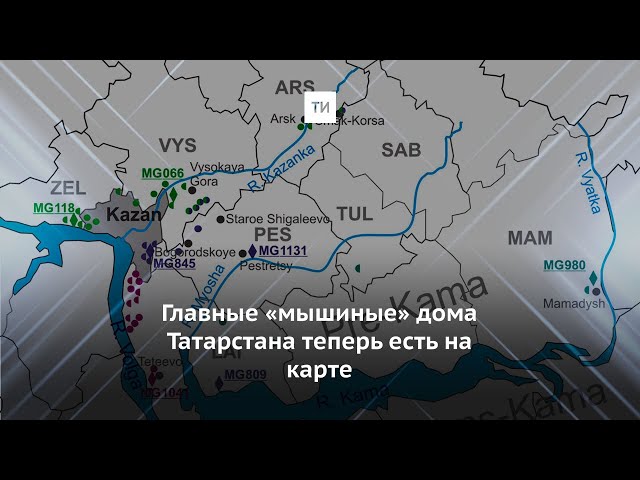 Главные «мышиные» дома Татарстана теперь есть на карте