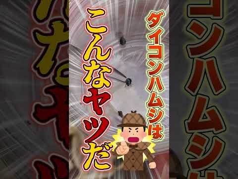 キャベツ虫に対する自然な治療法は何ですか?それらを永久に取り除き、収穫物を保存する4つの方法  庭園