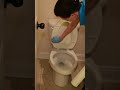 Optimizing Your Toilet Cleaning Routine Toiletcleaningtips Cleaningtips