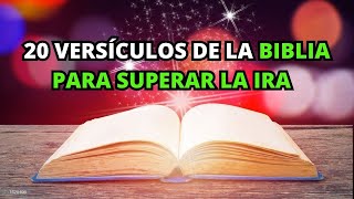 20 Versículos de la BIBLIA para Superar la Ira | La BIBLIA Lo Explica