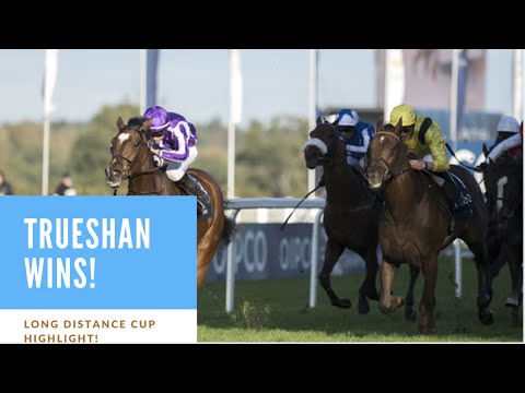 TRUESHAN wins the Long Distance Cup at Ascot!