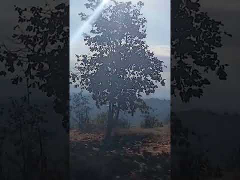 Un Recorrido de San Antonio A Santa Lucia la Reforma Toto #shortvideo