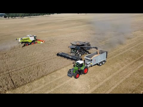 CLAAS LEXION 760 TT VS FENDT IDEAL 8 | ŻNIWA 2025 | AGRO-TEAM