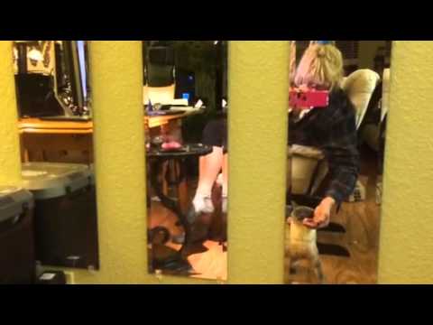 Zoe choosing food down the hall again