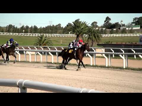 LP 200914 c08 - LADY SAMBA1º