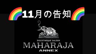 【11月の告知】🌈DISCO NIGHT in 東京MAHARAJA🌈11/13金曜　MAHARAJA ANNEX　18時から翌朝５時迄3000円１D　23時からの方2千円🥳詳しくは概要欄で💝 