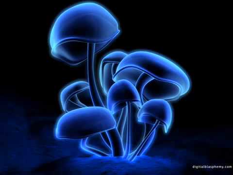 ▶ Mike Nero Ready To Flow Trance 2008 2009  / Tom Lopez