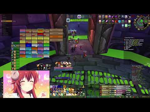 Naxxramas (1/5/21) Paladin POV - WoW Classic (Full Clear)