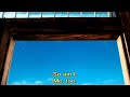 Joy Aranea And Nellie Scene