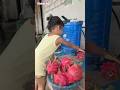 Habis Panen Buah Naga Vlog Ibu Dan Anak Ibudananak Funny Cutebaby