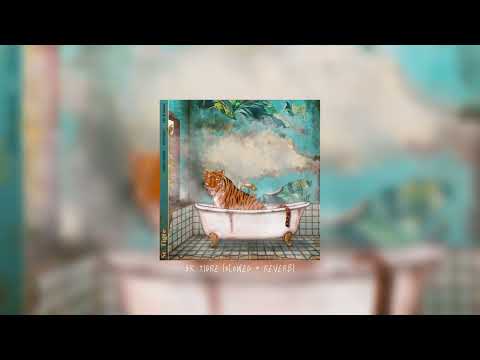 YoSoyMatt - Sr. Tigre (slowed + reverb)