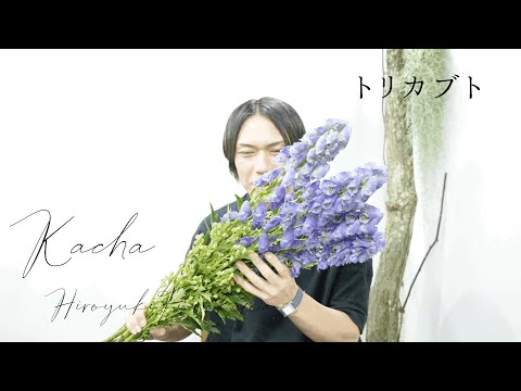 冬のトリカブトの移植: これは確実に機能します 植物