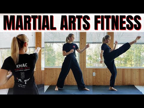 20 minute Cardio Kickboxing - Martial Arts Fitness Training