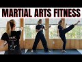 20 Minute Cardio Kickboxing Martial Arts Fitness Training