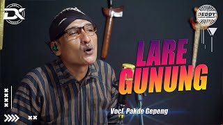 Download lagu LARE GUNUNG VERSI KOPLO || PAKDE GEPENK FT FARIS KENDANG mp3 Download lagu LARE GUNUNG VERSI KOPLO || PAKDE GEPENK FT FARIS KENDANG mp3