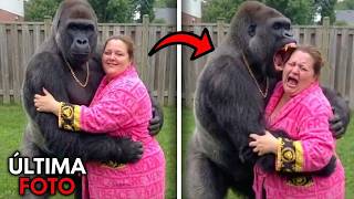 Essas pessoas ricas foram atacadas por animais!