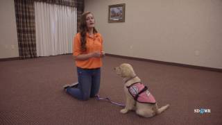 SDWR Training Command Repeat Correct