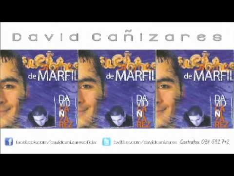 David Cañizares -Recuerda sueña y suspira