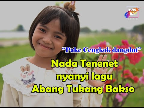 ABANG TUKANG BAKSO - NADA TENENET COVER MUSIC