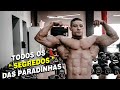 APRENDA TUDO SOBRE AS P4R4D1NH4S ! | PARTE 2 | MEU CURSO | LUAN BODYBUILDER